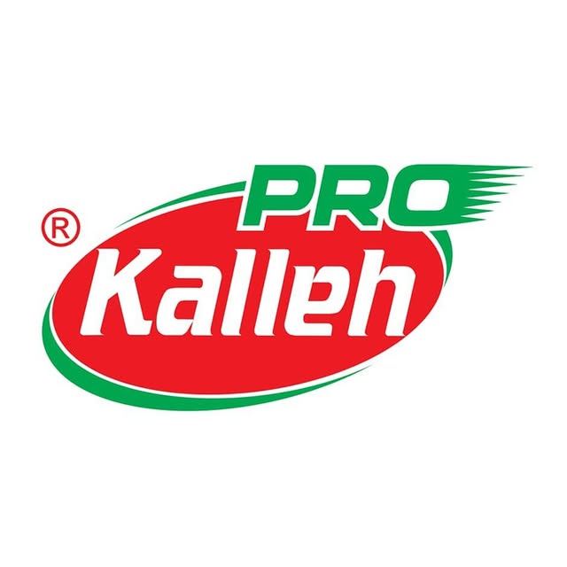 Campaign Logo