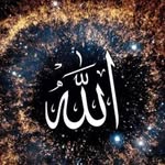 @mahnaz_f_m3