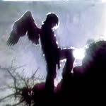 @milad46700225