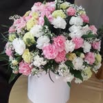 @farin.ab