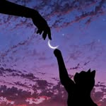 @fatemeh_gh914