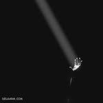@afe_sadeghi