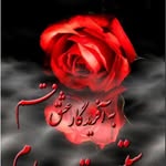 @amjadian2358