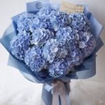 @zah***28