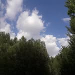 @asad1.213