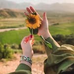 @zarpendar.52
