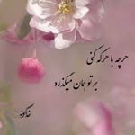 @fatimabeigiiiiii