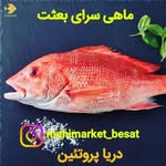 @mahimarket_besat