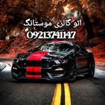 @mustang_auto5600