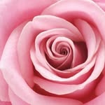 @maryammehranfar7
