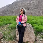@shahl.aart