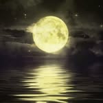 @zeinaab_mansouri