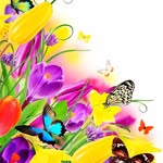 @ney***06