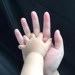 @ordibeheshti.202