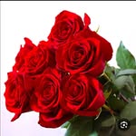 @nz.***23