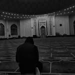 @amirali_k5021