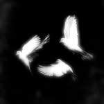 @5pr***__