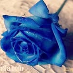@s.zar6325
