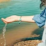 @baharmosavi631