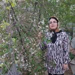 @shadit73