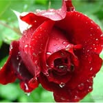 @kimia___a00