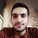 @amirmahdialiniafard