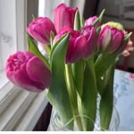 @s.t.m.55