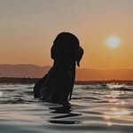 @afrraa__7