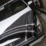 @adrengazmeh804