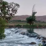 @mahmood_javadi1365