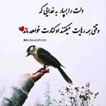@sbwr5455