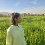 @h.falahati.ss