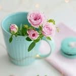 @for***gh