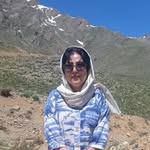 @sadat._musavi