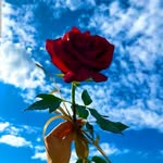 @th60745