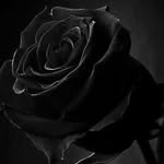 @___maryam__00_
