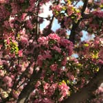@1_m***_9